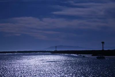 DSC_0826 (Large).JPG